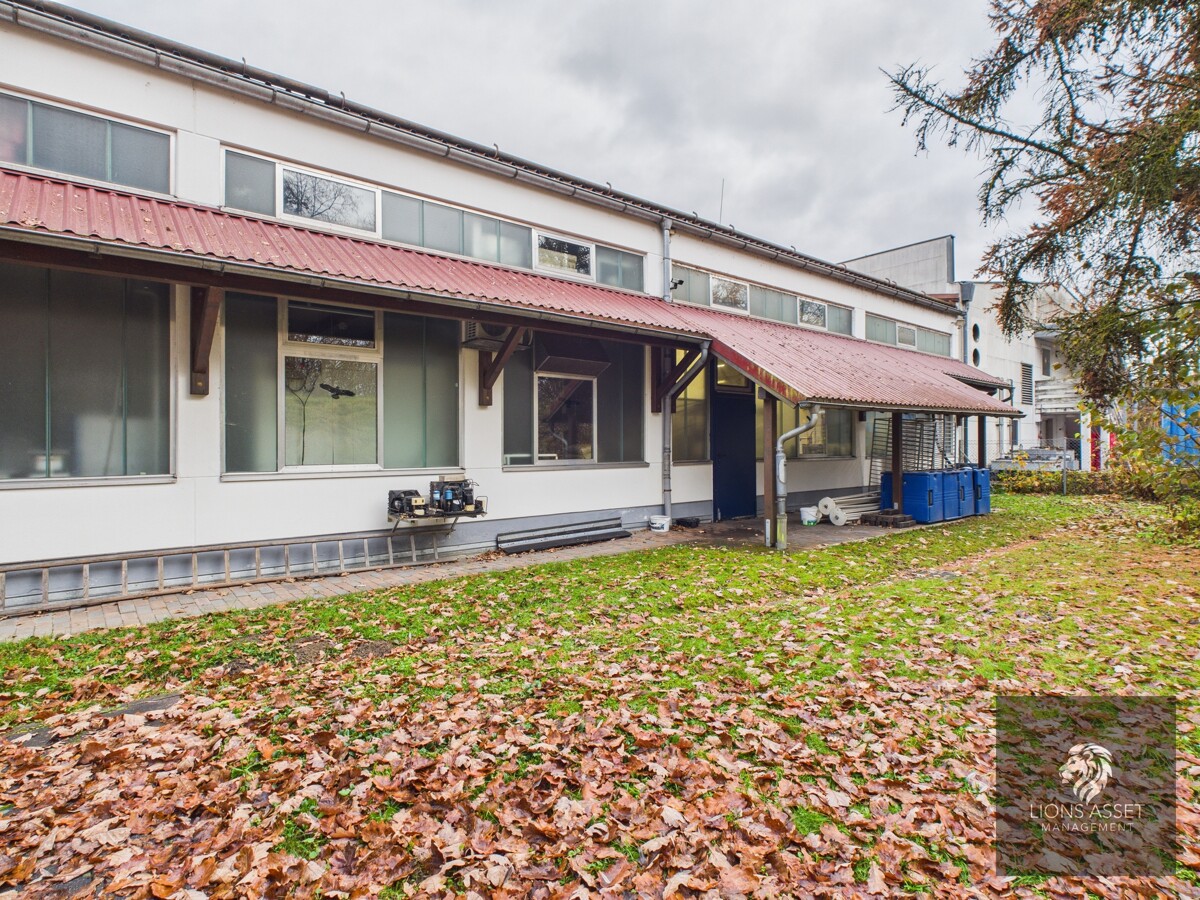 Rückansicht3